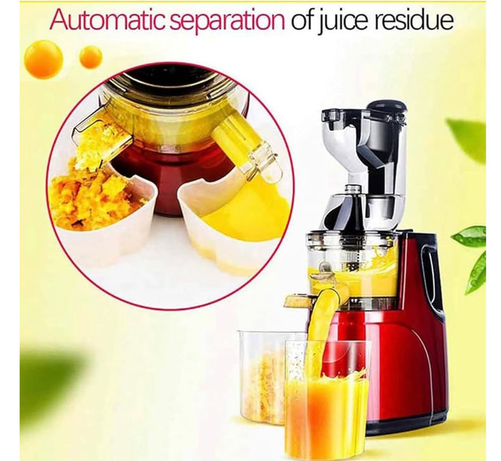 HYTRDJKDF Fruit And Vegetable Raw Juice Machine