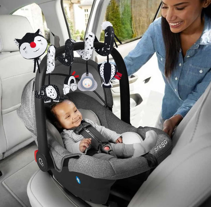 Orzizro Car Seat Toys, High Contrast Black and White Toys for Infants