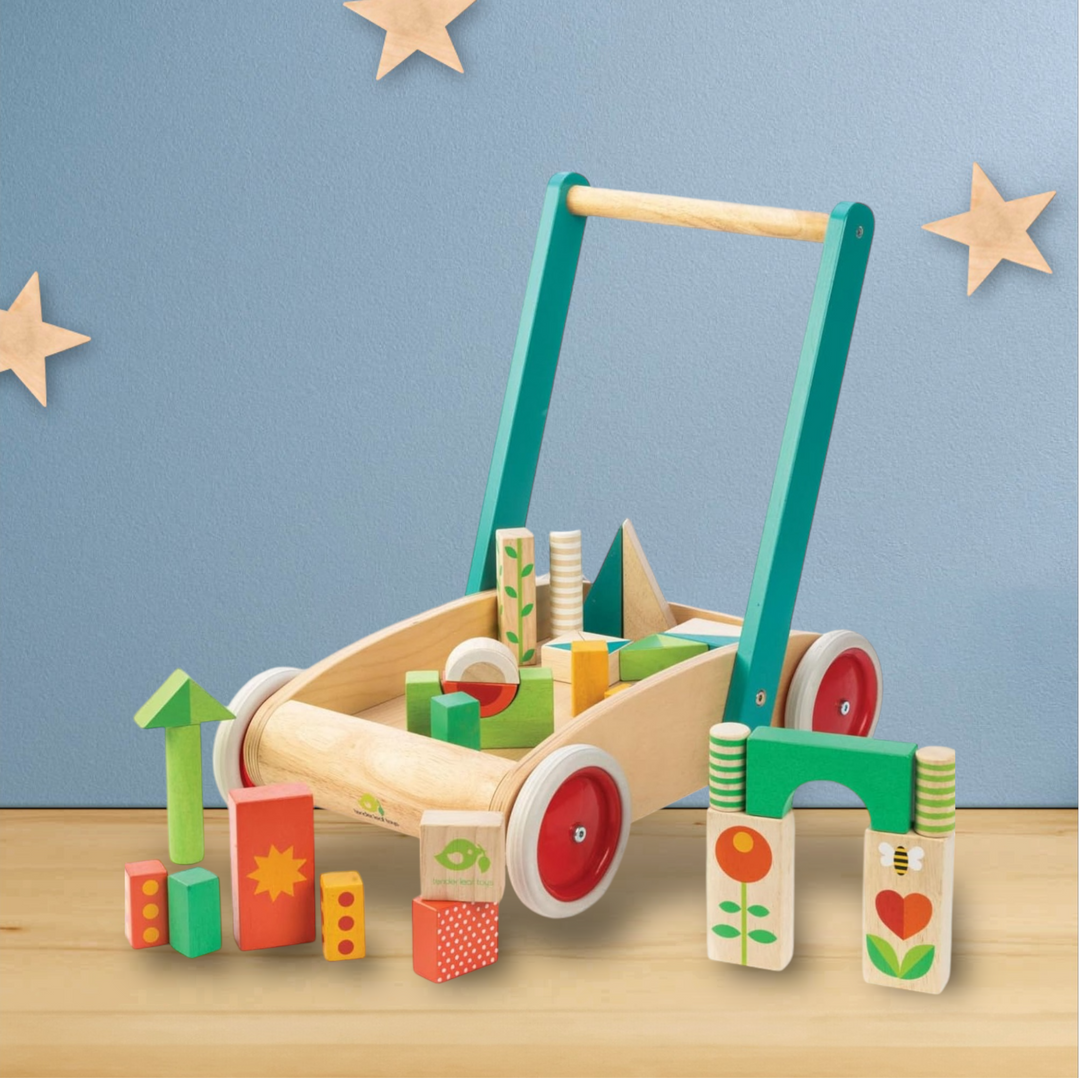 Tender Leaf Toys Baby Block Wooden Walker - Includes 29 Garden Themed Wooden Toy Blocks