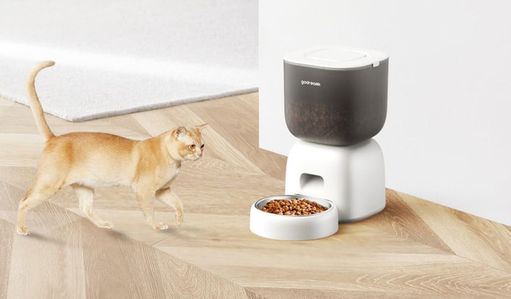 GODREAMIT Automatic Food Dispenser for Small to Medium Breed Pets